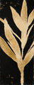 Image Not Available